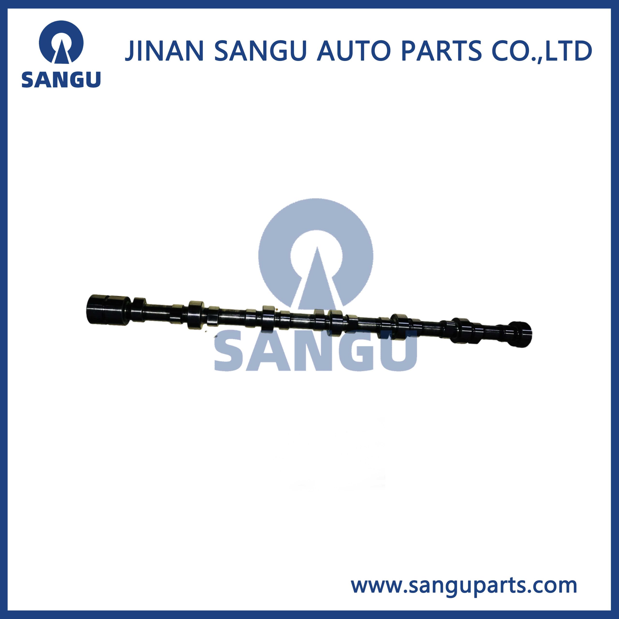 Camshaft assy    1000053446