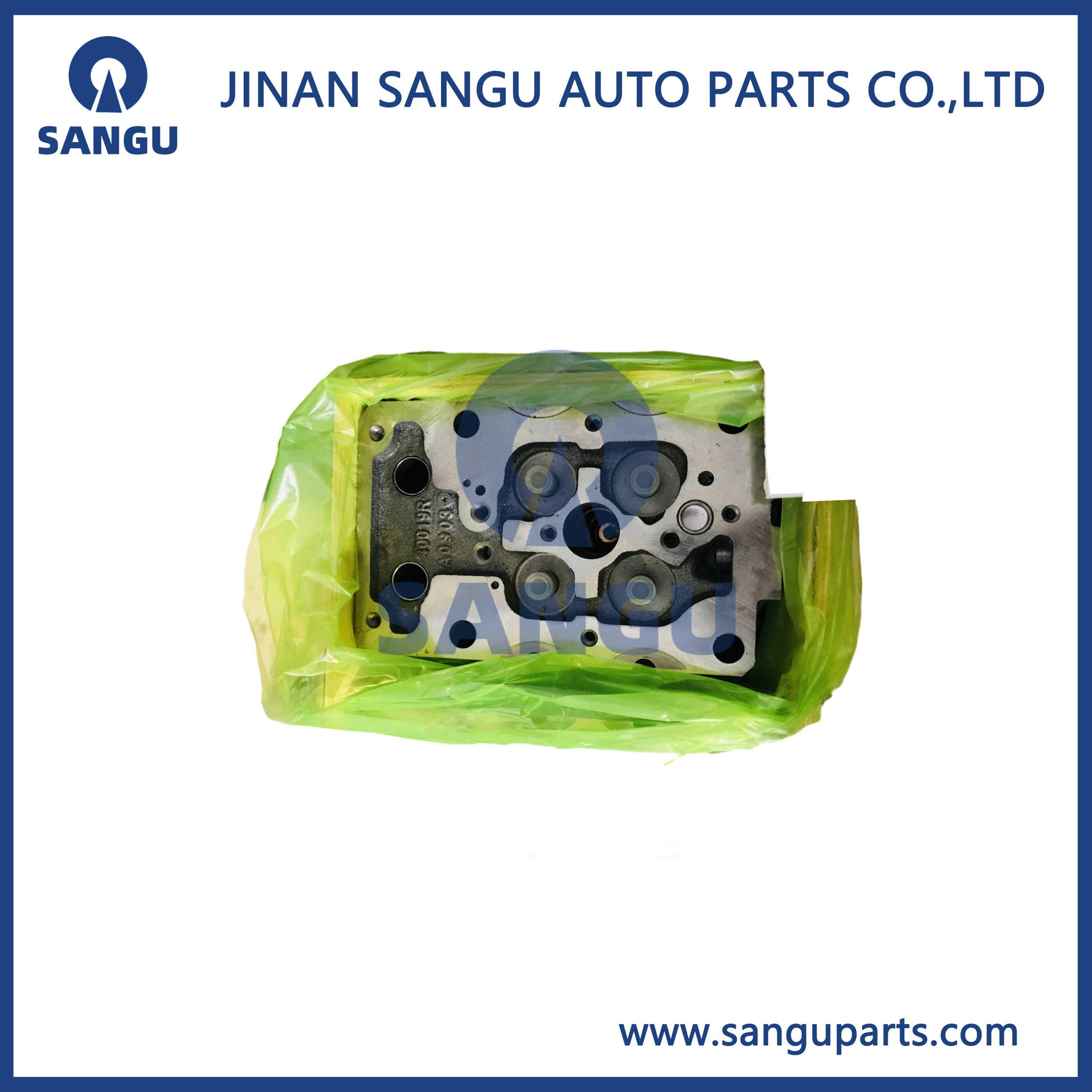 Cylinder head  1003010-M80