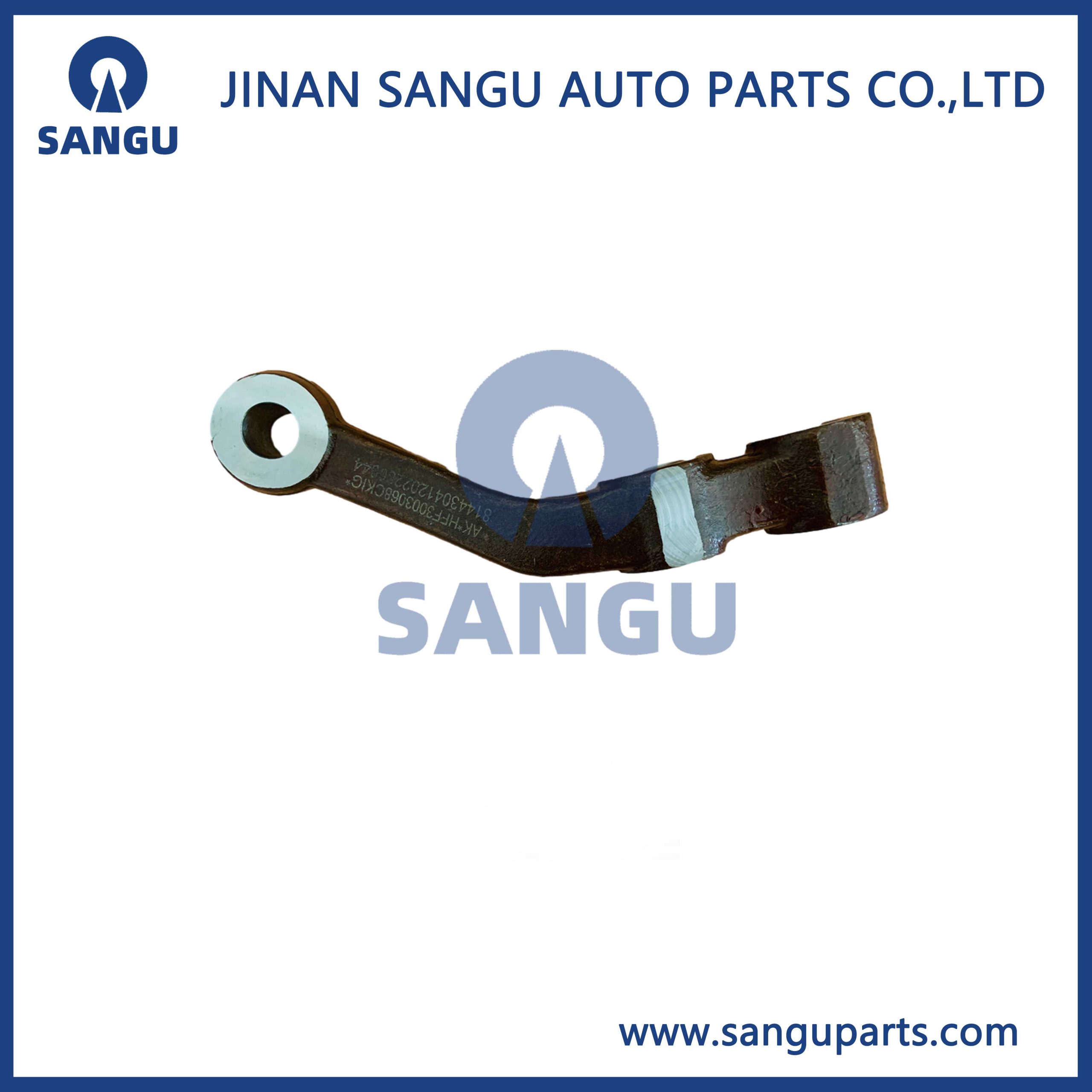 Knuckle arm F1106630002006A0004