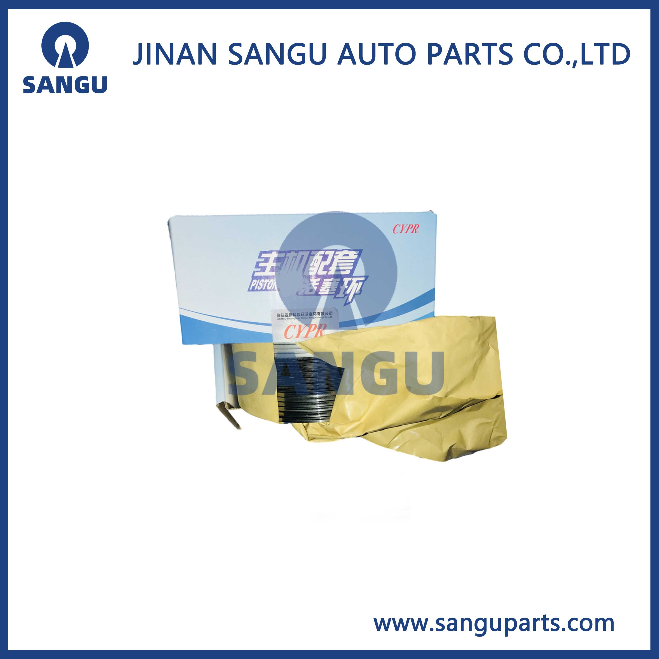 piston ring 61260030051