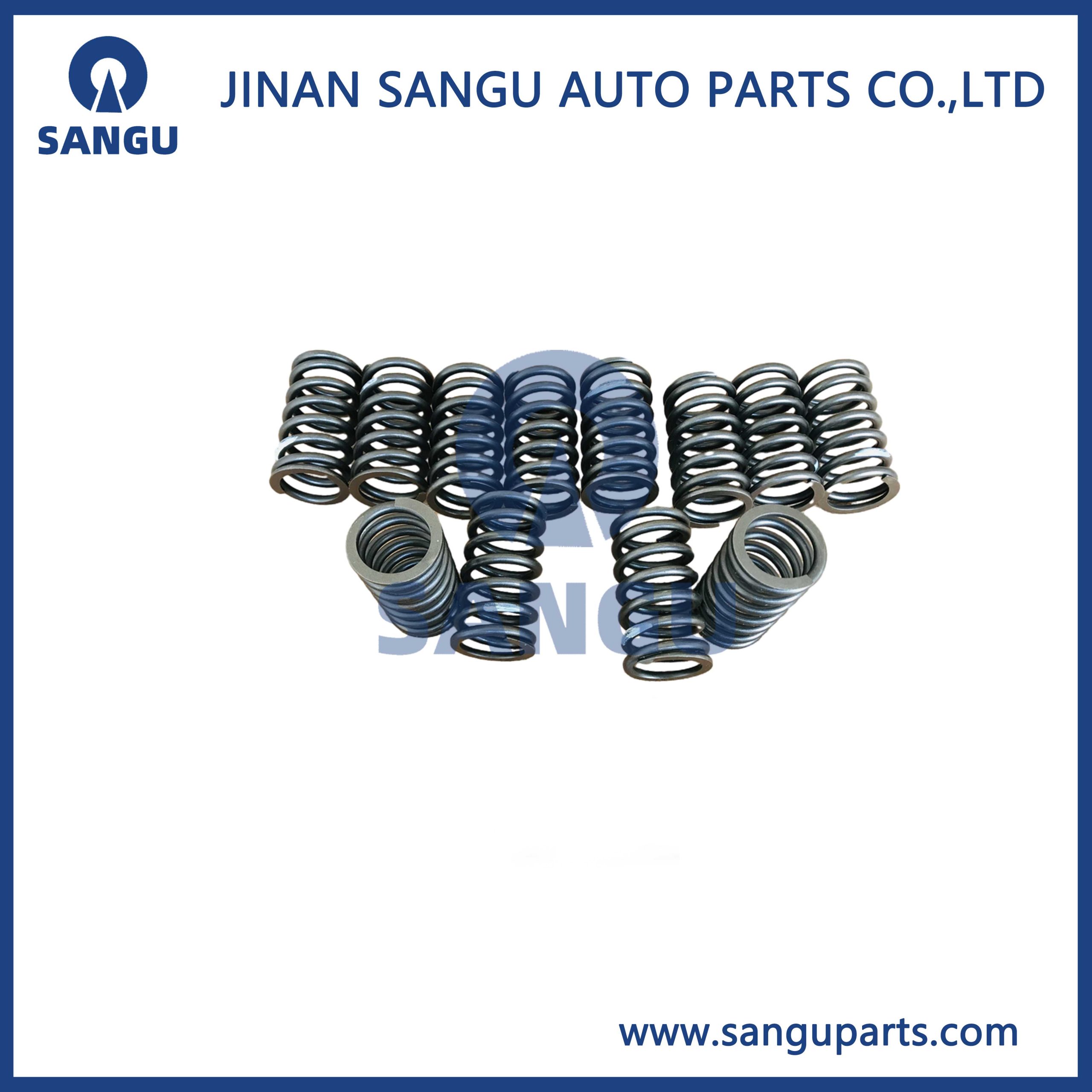 Valve spring  612630050005