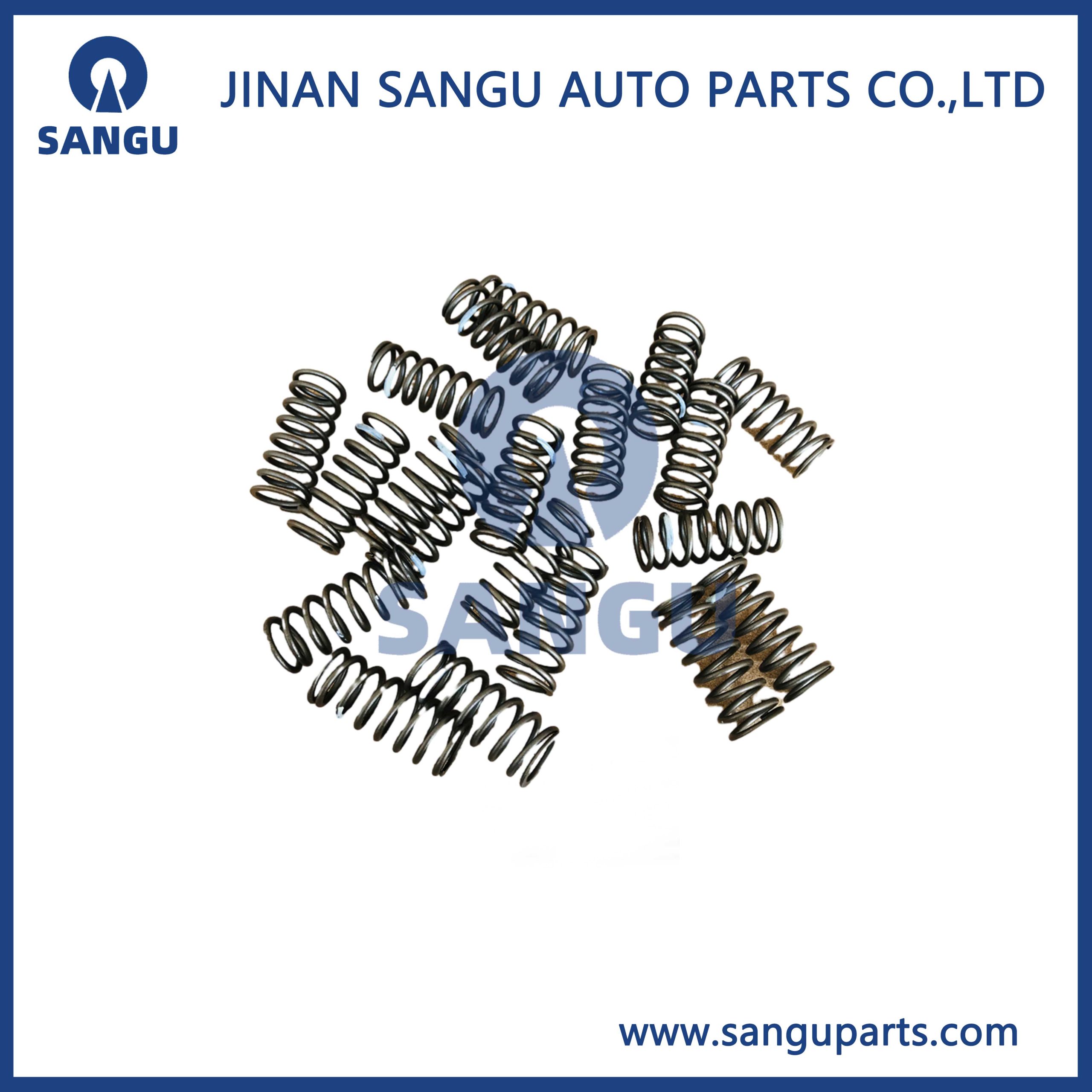 Outer valve spring  61500050002
