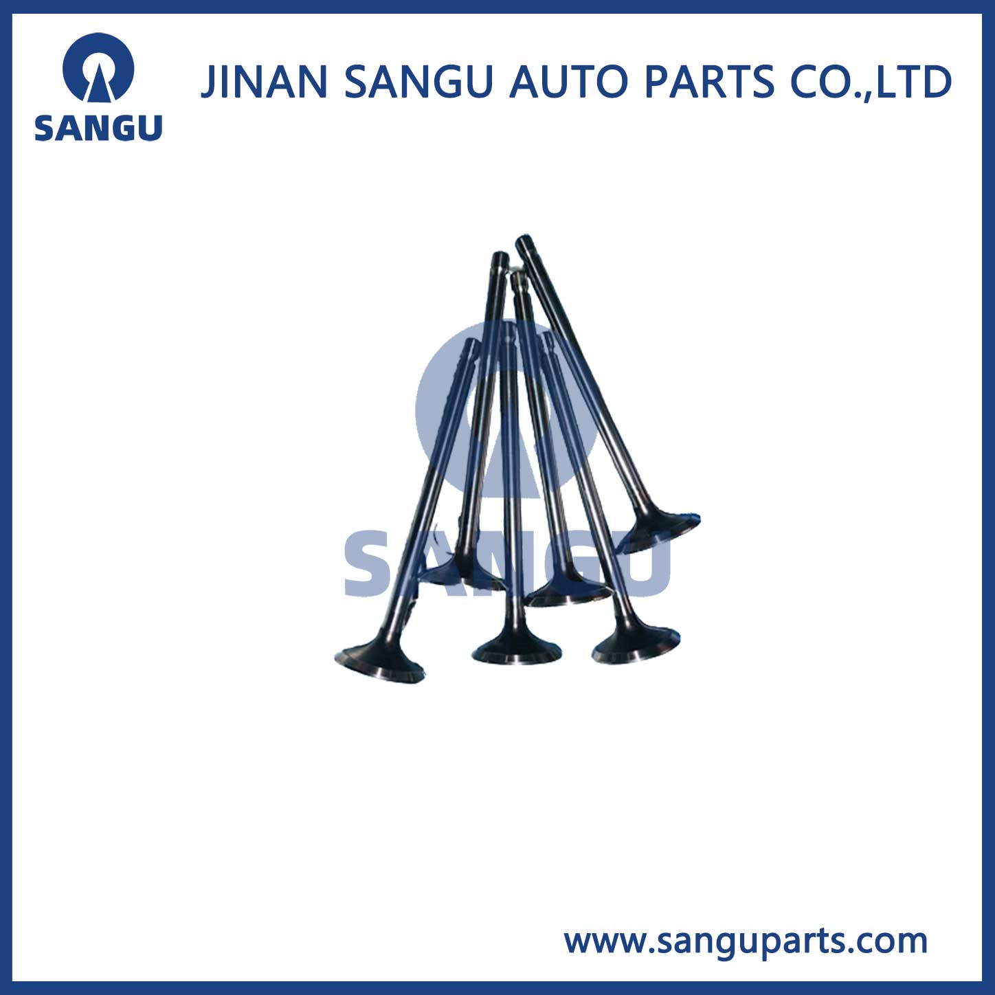 Insert valve C5300834