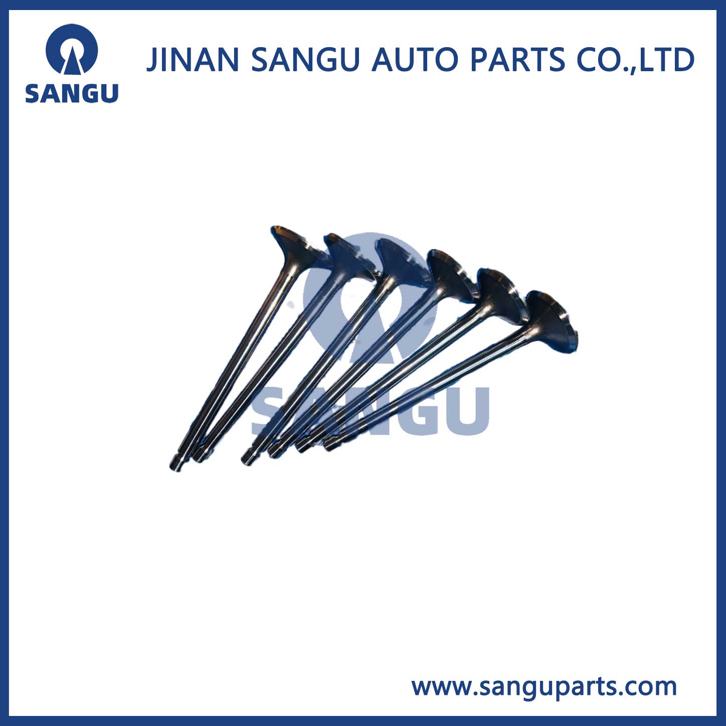 Insert valve C3968074