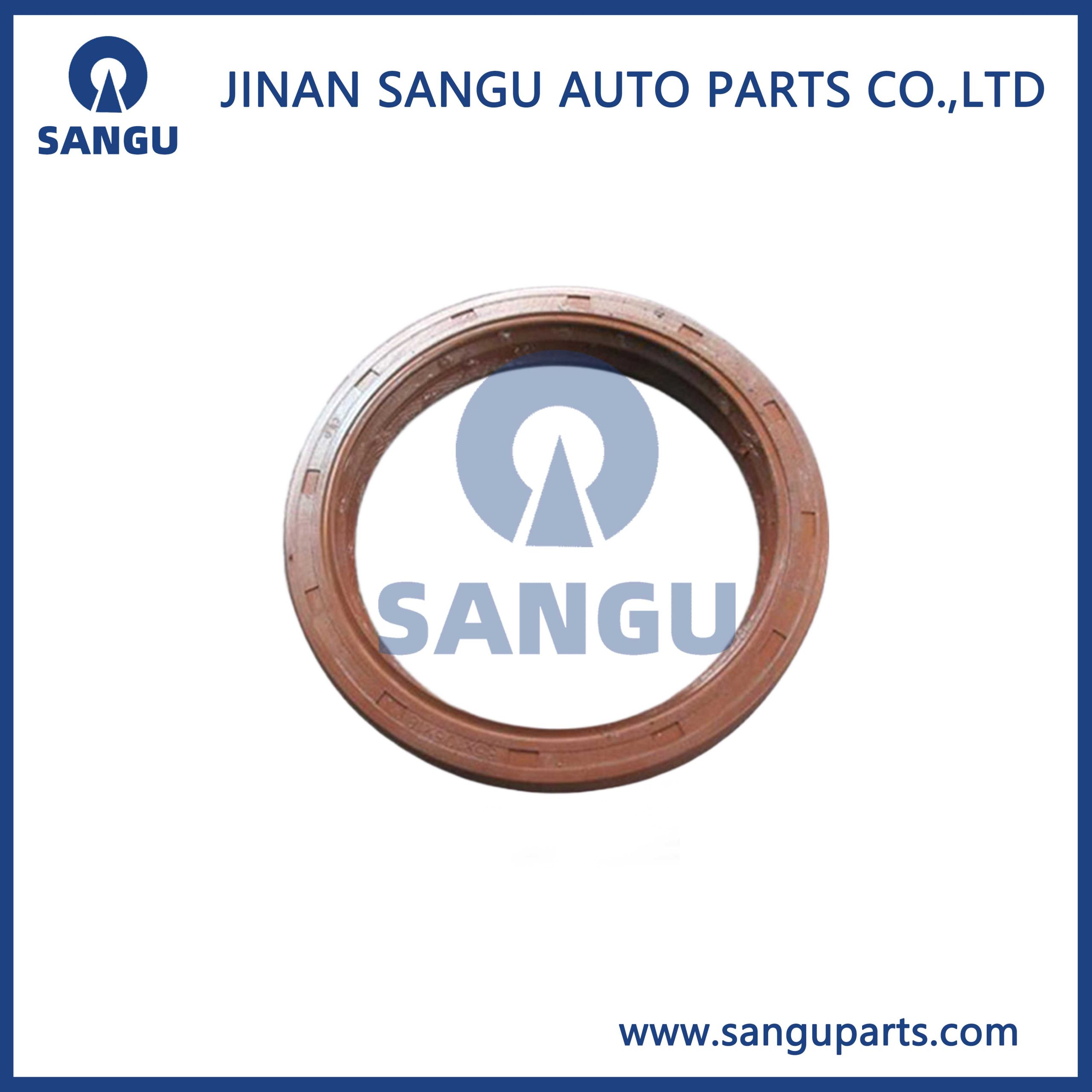 oil seal DZ9112320920
