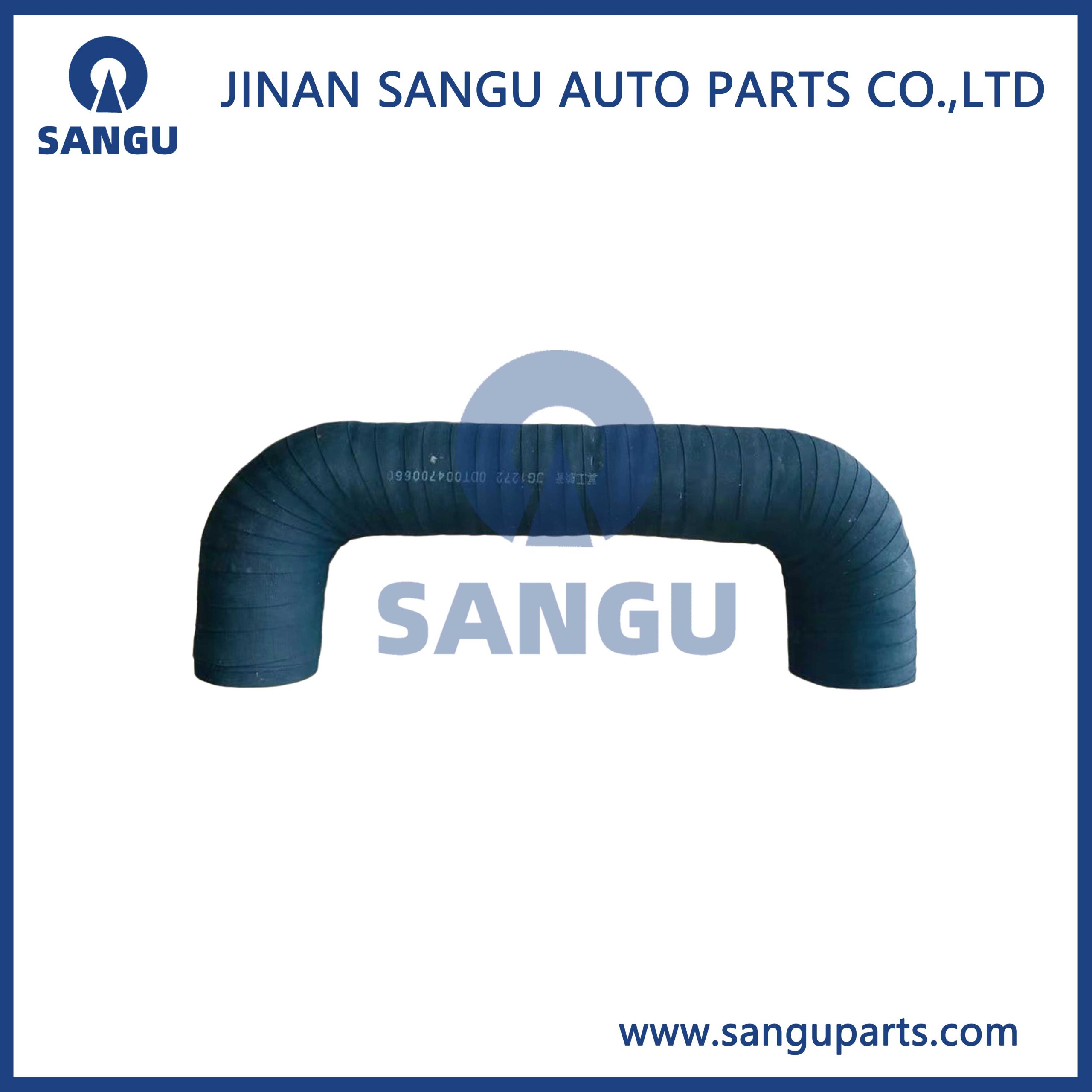 ENGINE HOSE ODTO04700660