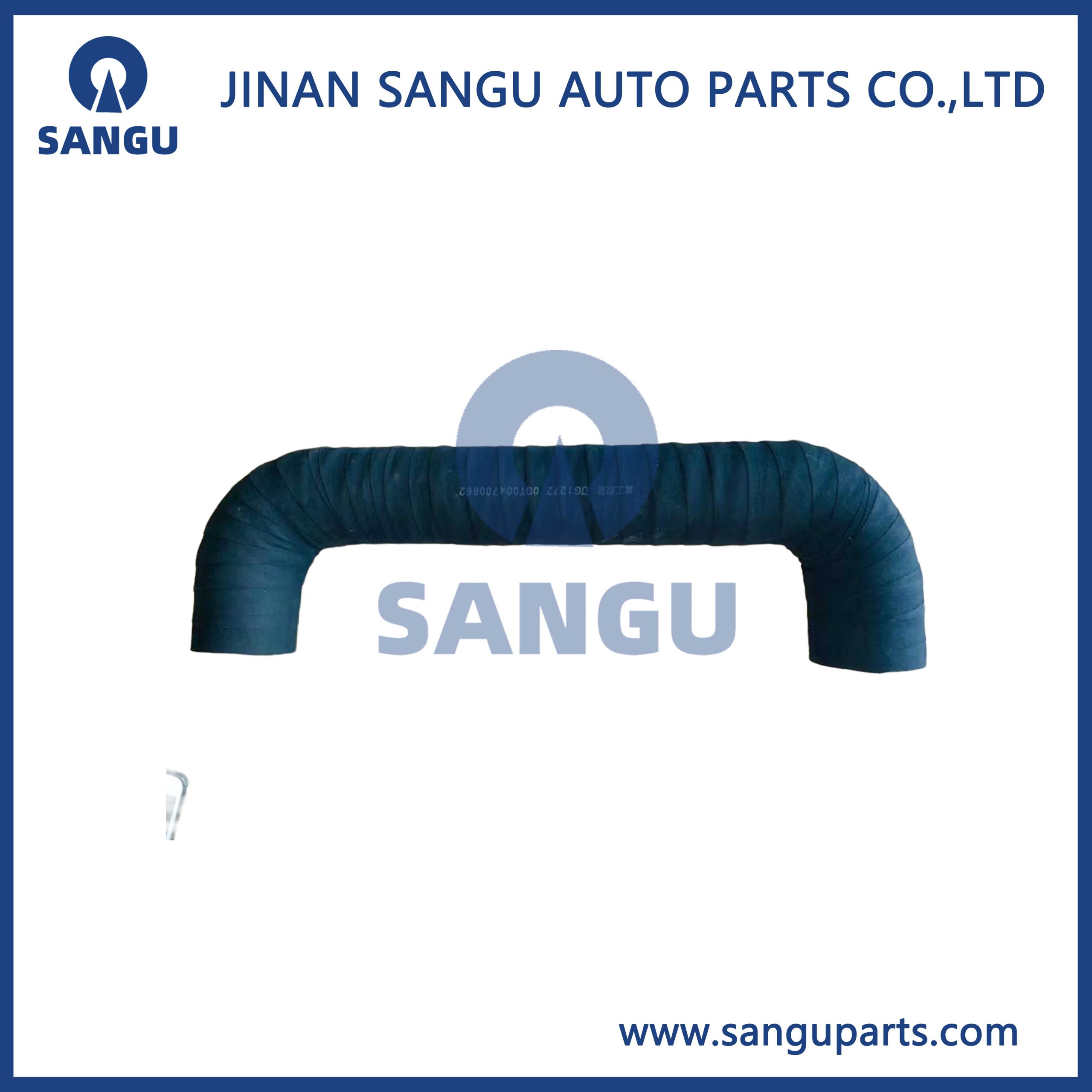 ENGINE HOSE ODTO04700662