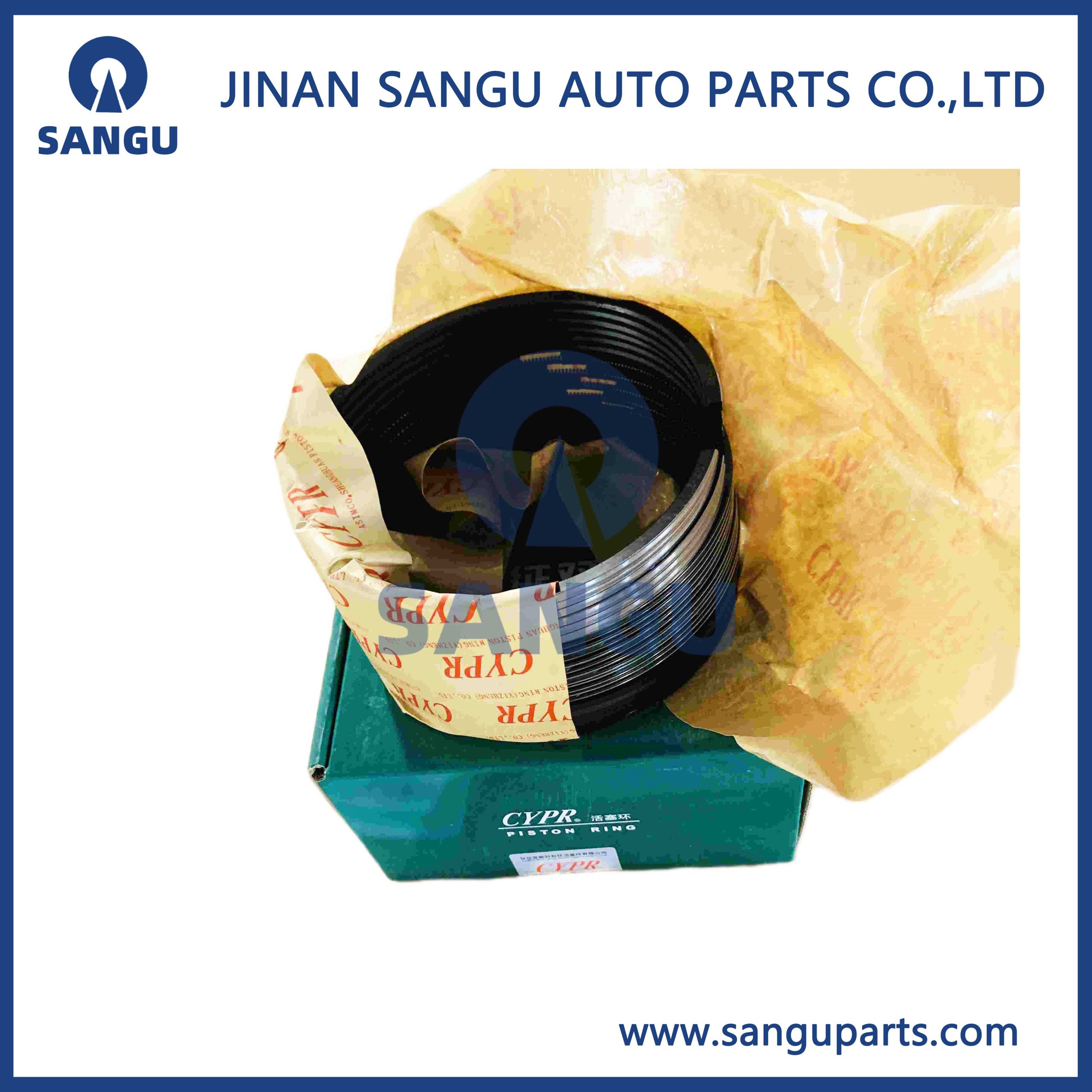 VG1560030050 Piston ring sets