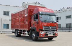 foton (11)