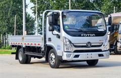 foton (4)